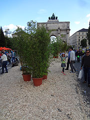 Streetlife Festival 2017 in der Ludwig- und Leopoldstraße mit dem "Corso Leopold" am 09. + 10.09.2017. Motto: "Raumwunder" (Foto: Martin Schmitz)